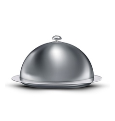 Chrome Catering Tray vector image