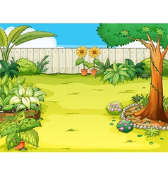 Garden with flowers vector image