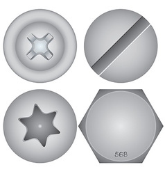 Screw Heads vector image