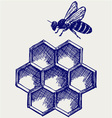 Working bee on honeycells vector image