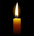 Candle vector image