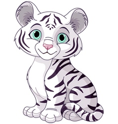 White tiger cub White tiger cub vector image