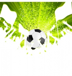 Football fans crowd vector image