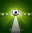 Soccer ball on green grass background vector image