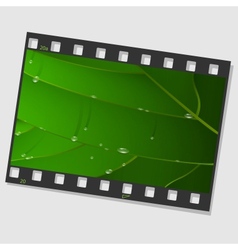 Film frame with green leaf and drops vector image