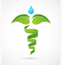 Medical caduceus - alternative medicine green and vector image