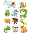 Animal set vector image