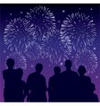 People watching fireworks vector image