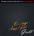 Speaker grill background vector image
