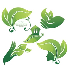 Collection of green leaf images vector image