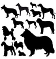 Dogs silhouettes vector image