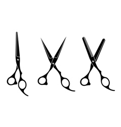 Scissors Scissors vector image