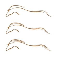 Horse swooshes Horse swooshes vector image
