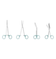 Scissors vector image