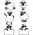 Sheep cartoon vector image