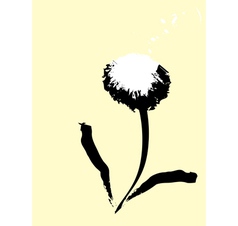 Common dandelion vector image