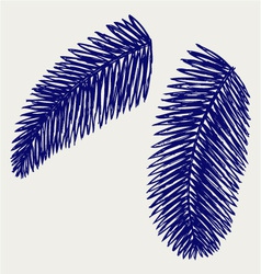 Palm leaves vector image