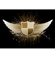 Heraldic shield vector image