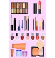 Professional make up set vector image