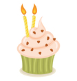Birthday Cupcake vector image