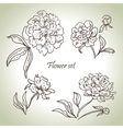 Floral set vector image