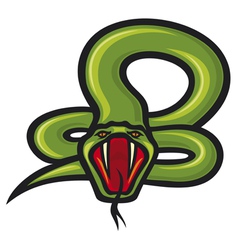 Snake vector image