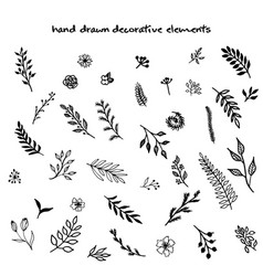 Hand drawn decorative elements vector image