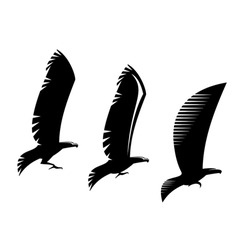 Heraldry eagle symbols and tattoo vector image