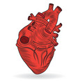 Heart human body anatomy sketch vector image