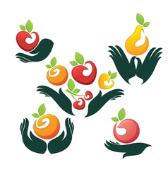 Hands and fruits vector image