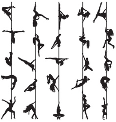 Pole dancers vector image