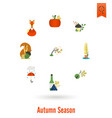 Set of flat autumn icons vector image