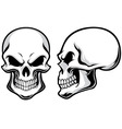 Cartoon skulls vector image