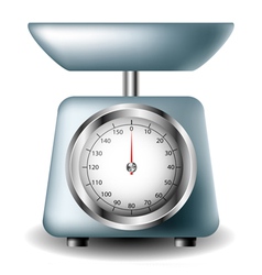 Kitchen scale vector image