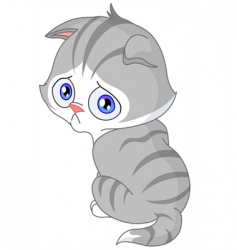 Sad kitten vector image