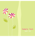 Floral greeting card vector image