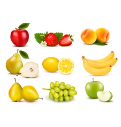 Big group of different fruit Big group of different fruit vector image