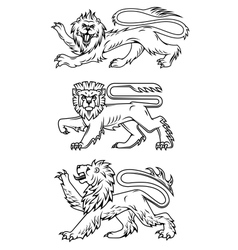 Powerful lions and predators vector image