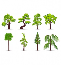 Tree icons vector image