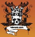 Grunge skull design vector image