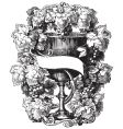 Antique frame engraving vector image