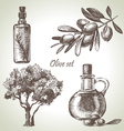 Hand drawn olive set vector image