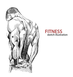 Athletic mans back vector image