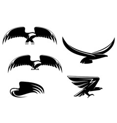 Eagle symbols and tattoo vector image