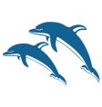 Dolphins vector image