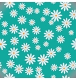 Daisies vector image