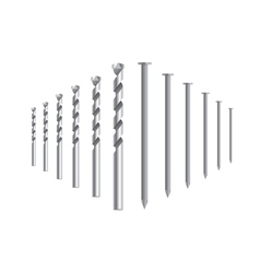Nails vector image