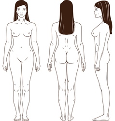 Naked standing woman vector image