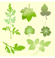Plants silhouettes vector image