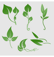 Plants silhouettes vector image